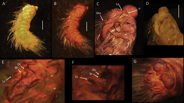 Figure 13.