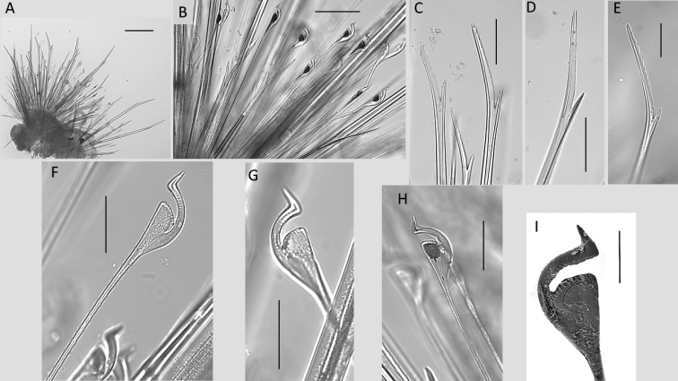 Figure 19.