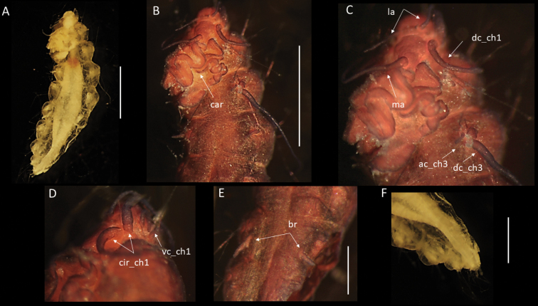 Figure 3.