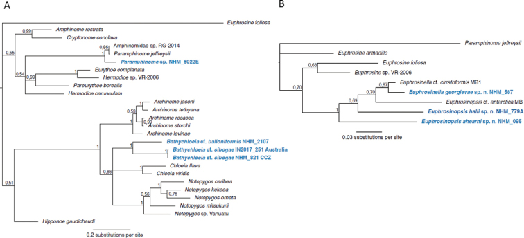 Figure 5.