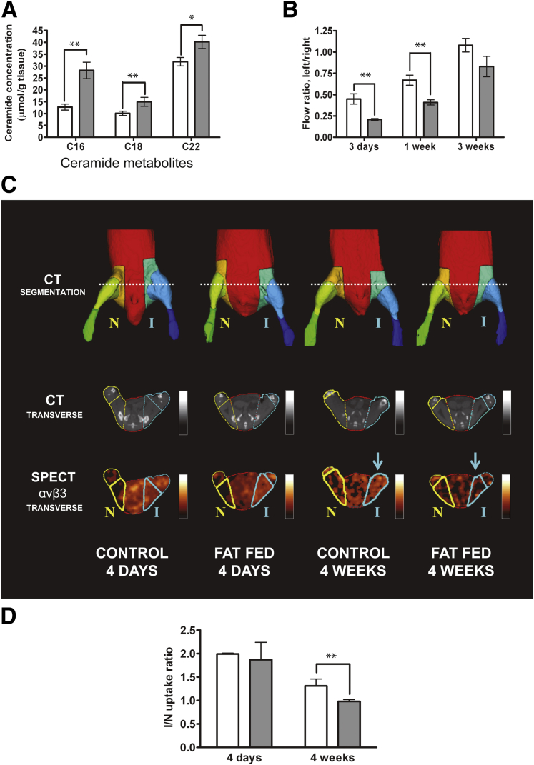 Figure 7