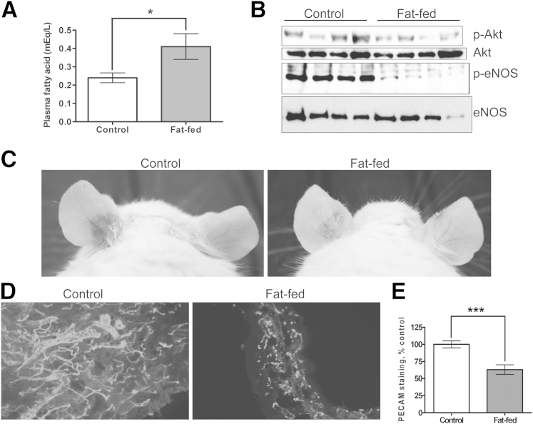 Figure 6