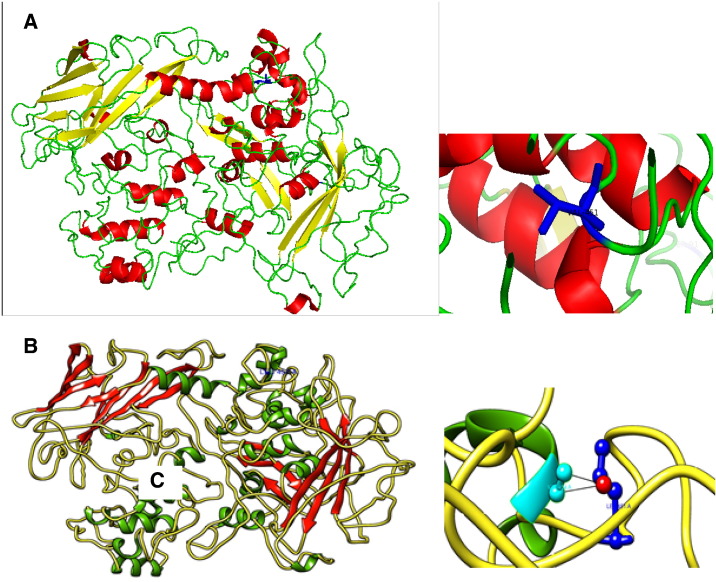 Fig. 1