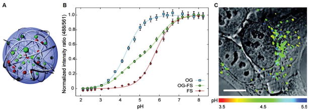 Fig. 6