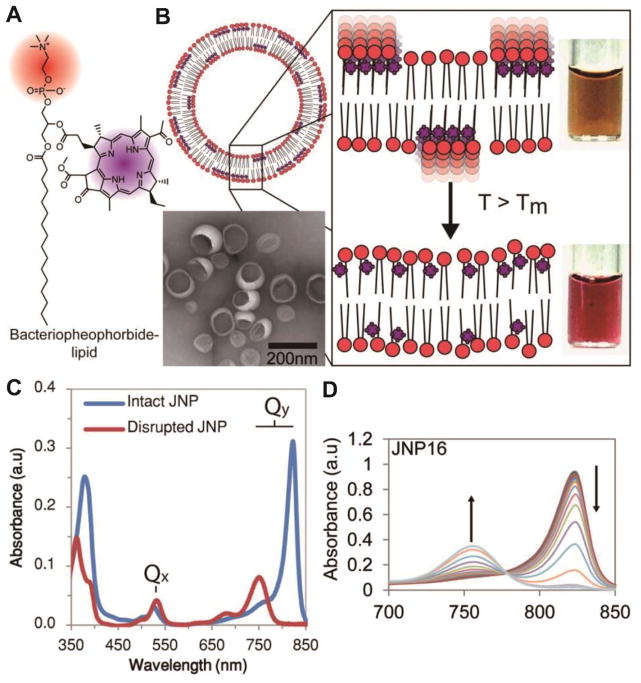 Fig. 29