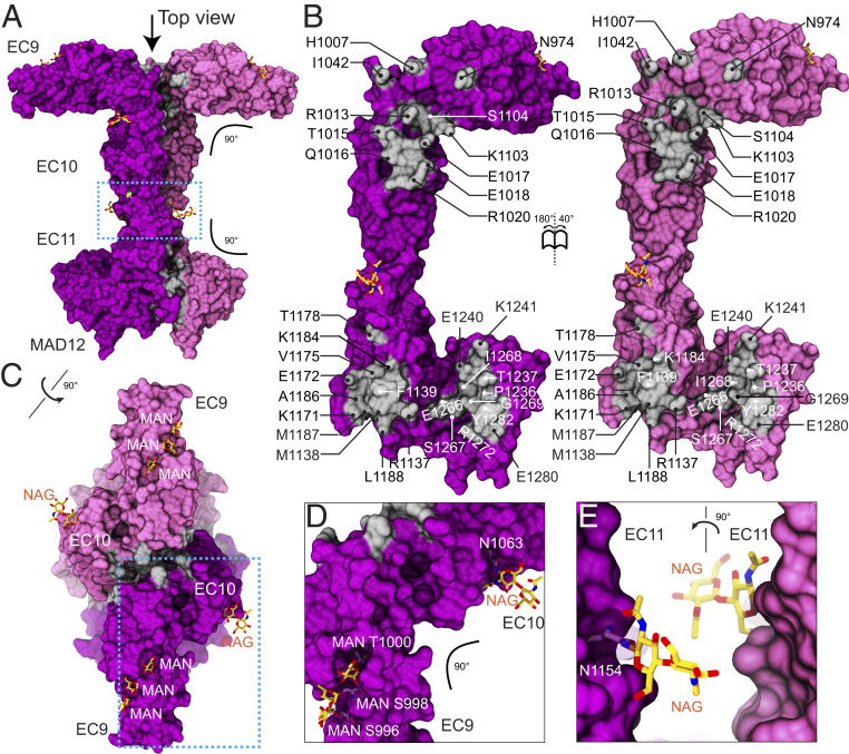 Fig. 4.