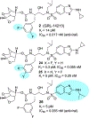 Figure 13.