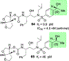 Figure 22.