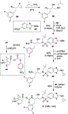 Scheme 4.