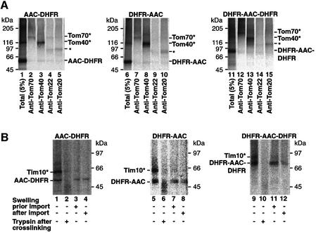 graphic file with name cde097f4.jpg