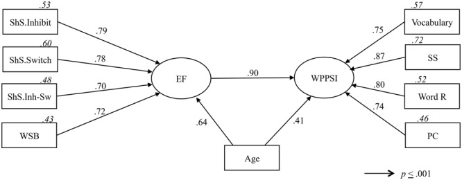 FIGURE 1