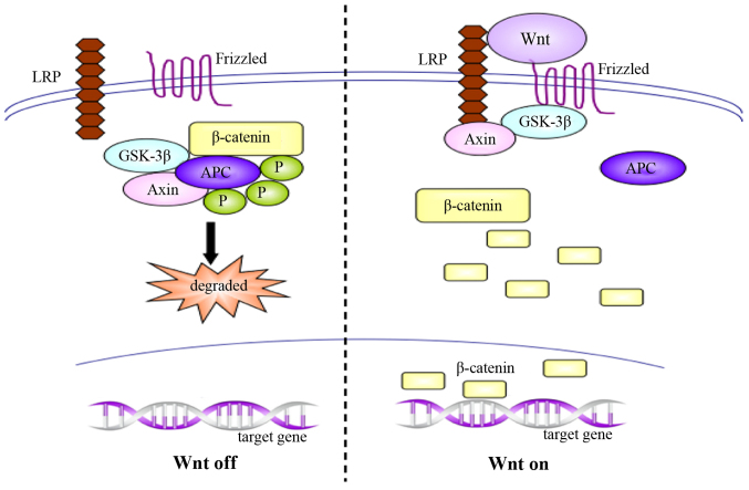 Figure 2.