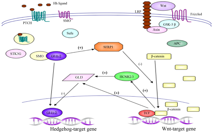 Figure 3.