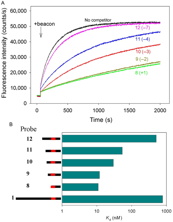 Fig. 12