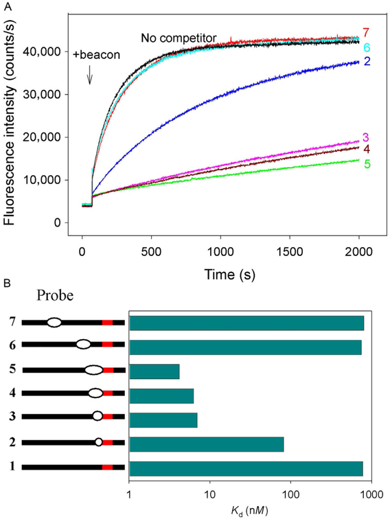 Fig. 11