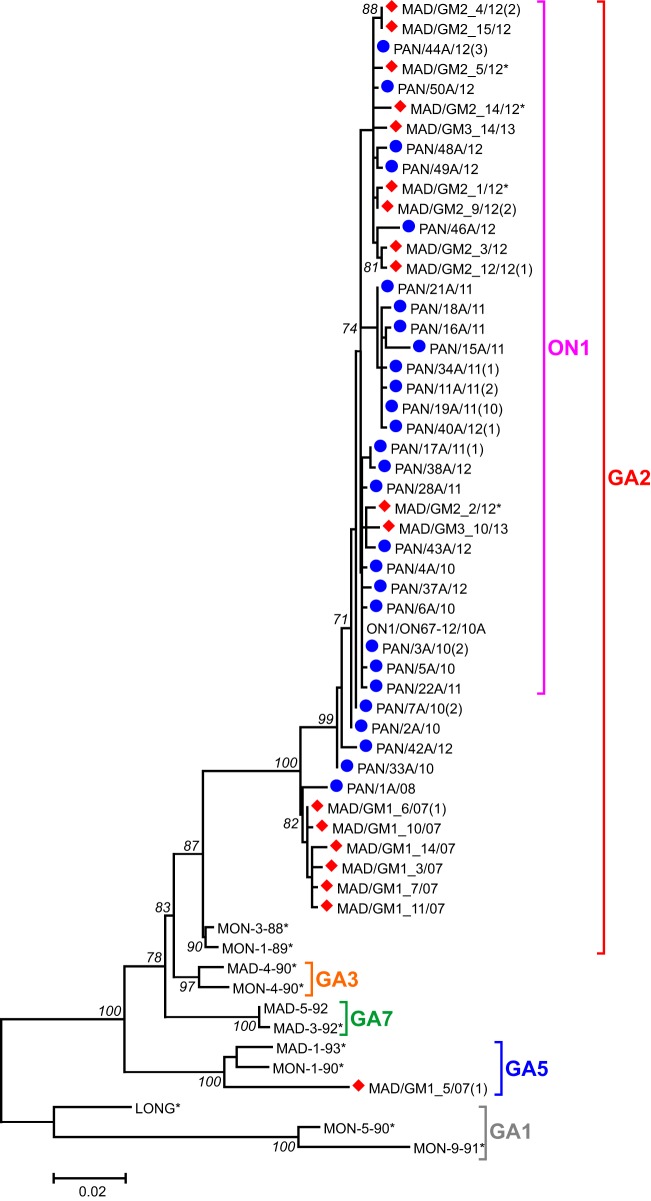 FIG 2