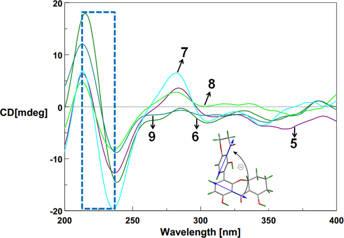 Figure 9