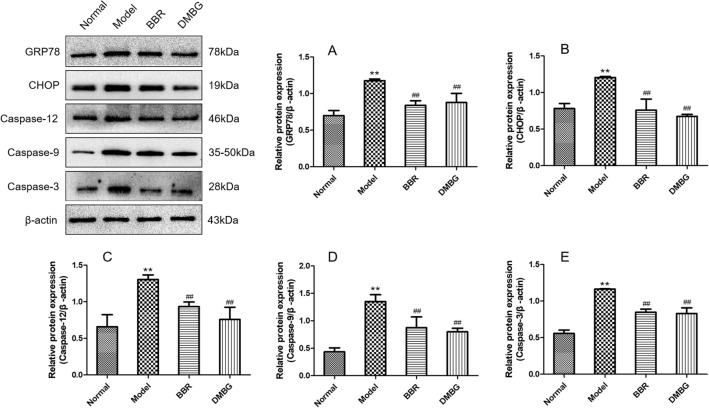 Fig. 10