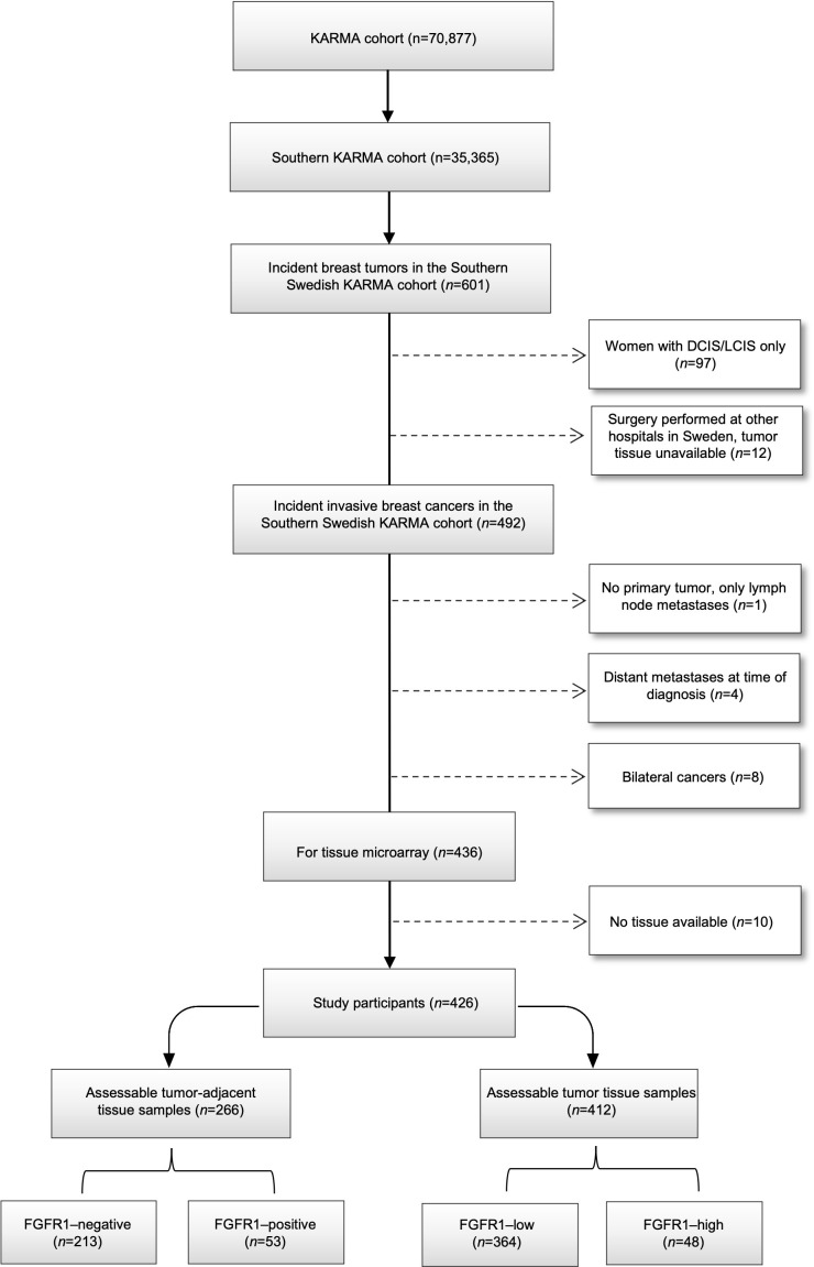 Figure 1