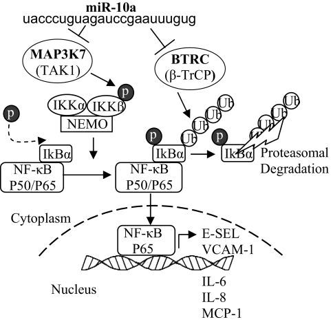 Fig. 5.