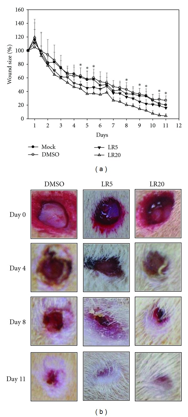 Figure 7