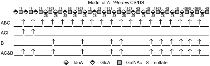 Fig. 8.