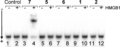 Figure 13