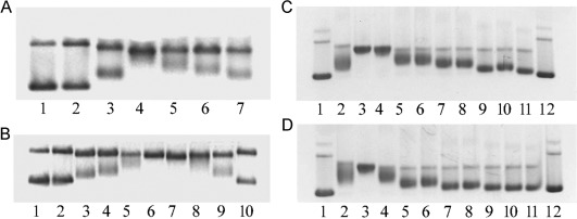 Figure 12