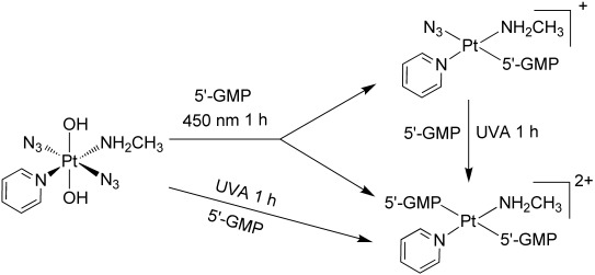 Scheme 3