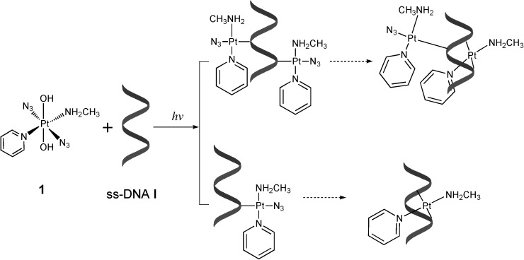 Scheme 2