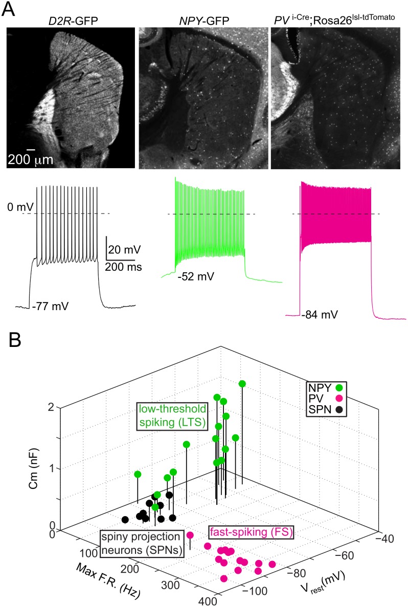 Fig 3