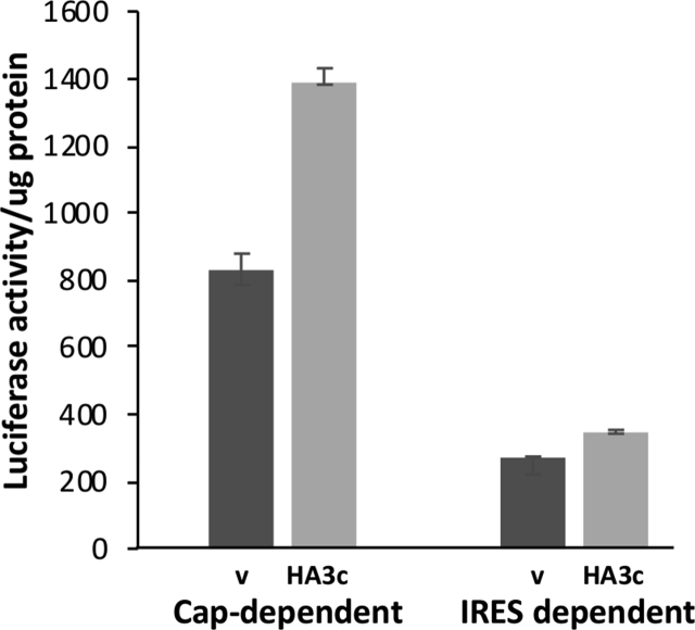 SUPPLEMENTARY FIGURE 3