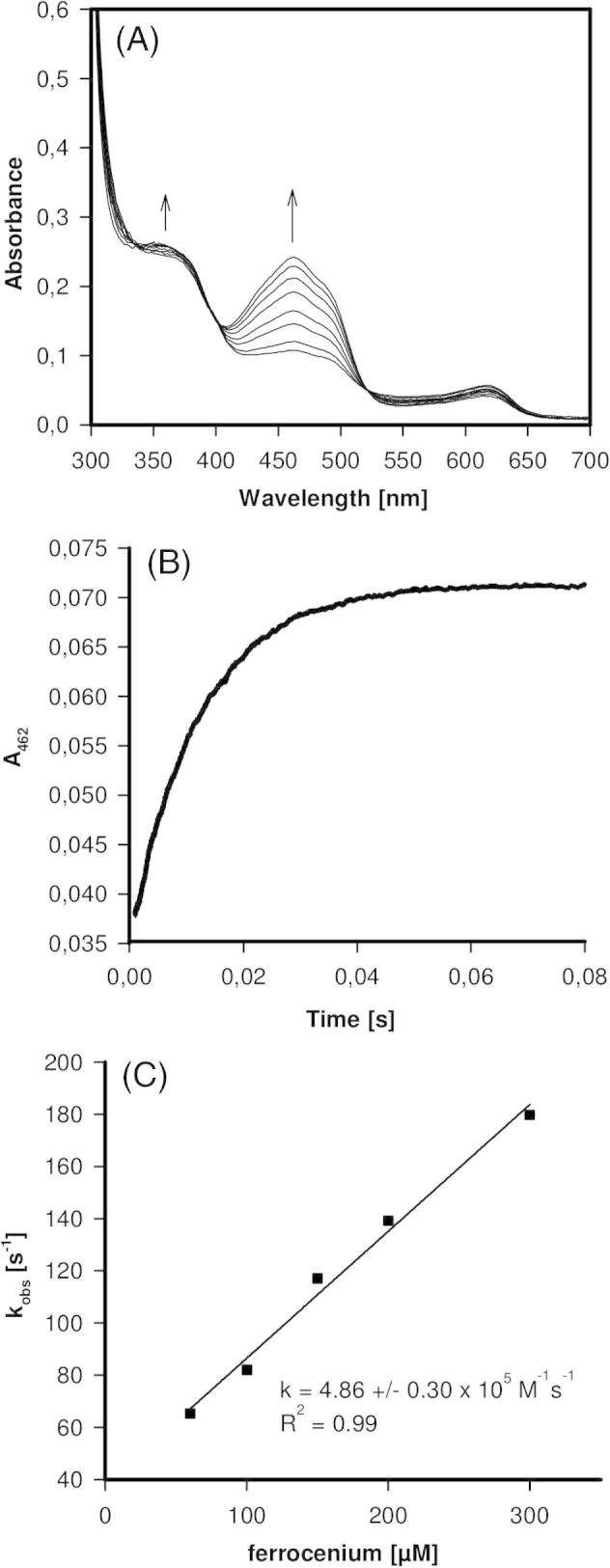 Fig. 5