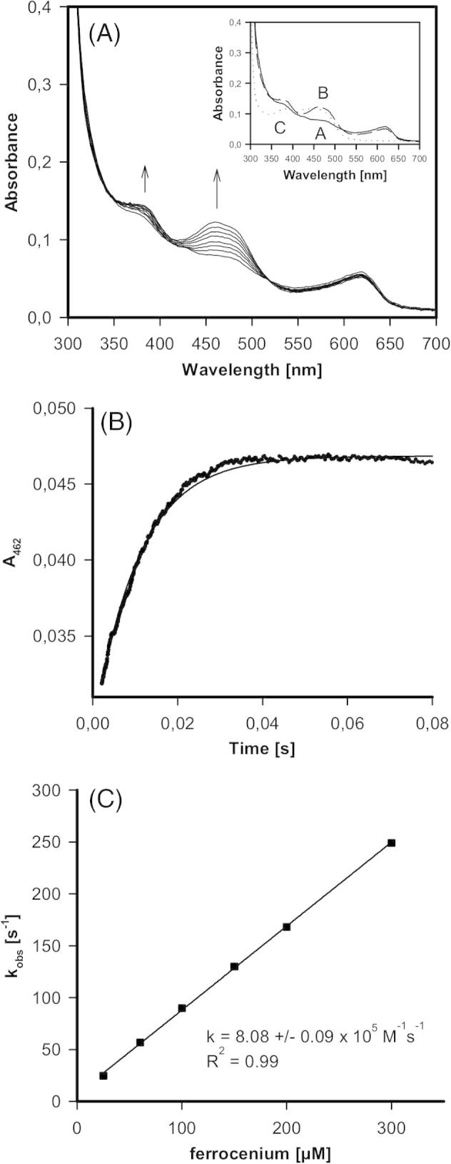 Fig. 6