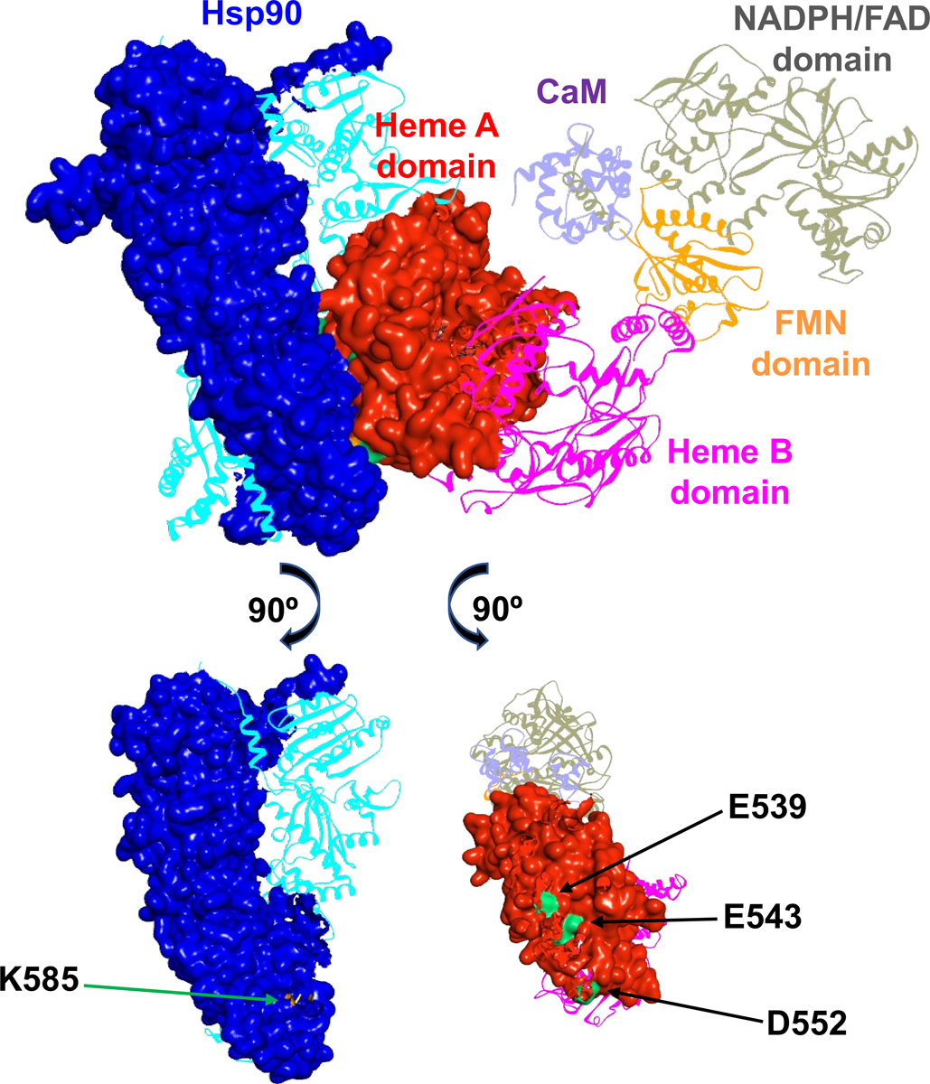 Figure 2.