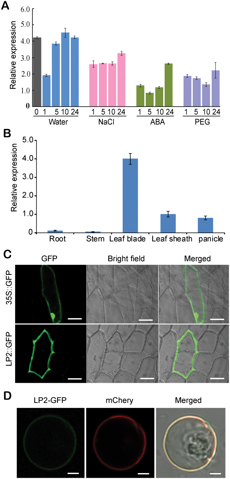 Fig. 2.