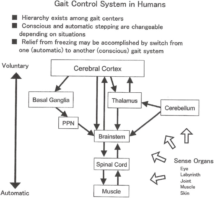 Figure 14. 