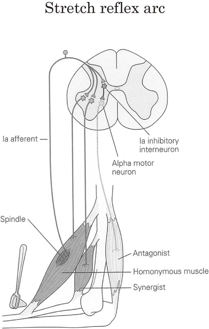 Figure 20. 