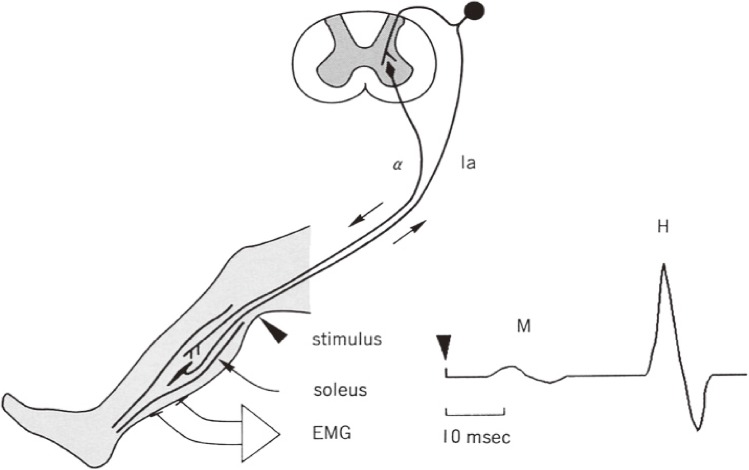 Figure 19. 