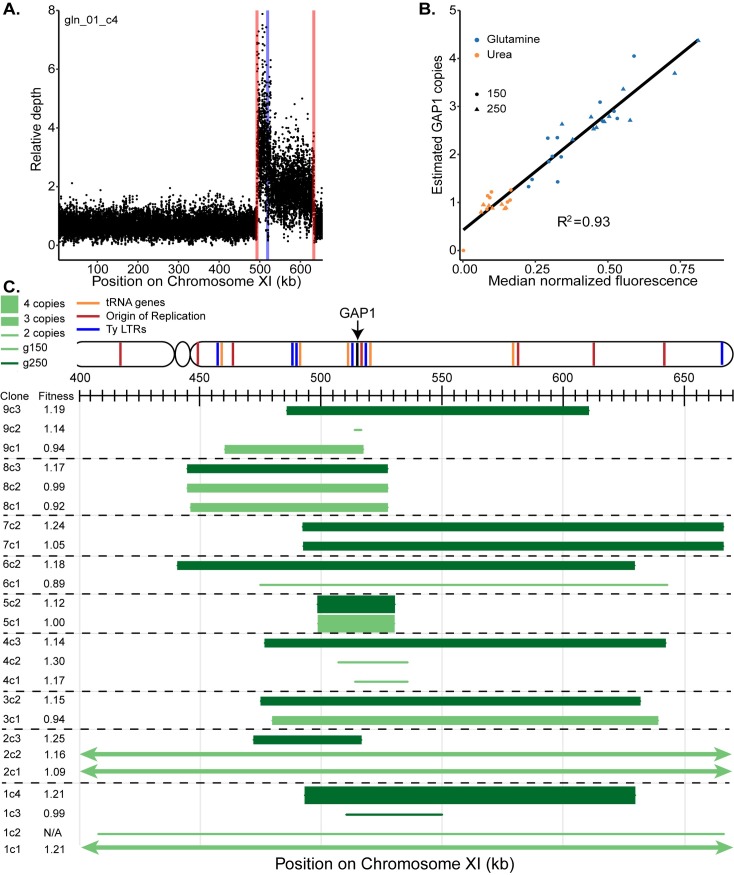 Fig 3