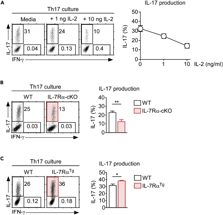 Figure 6