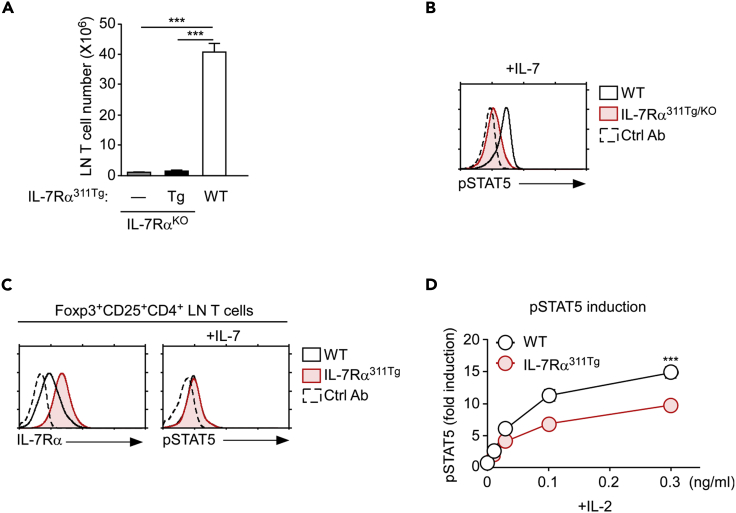 Figure 5