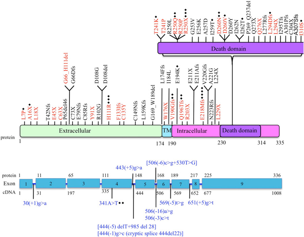 FIGURE 1