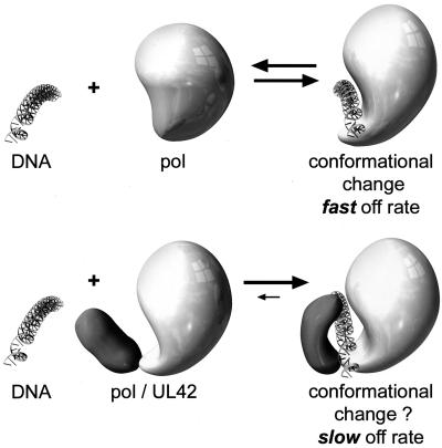 FIG. 8.