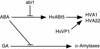 Figure 9.