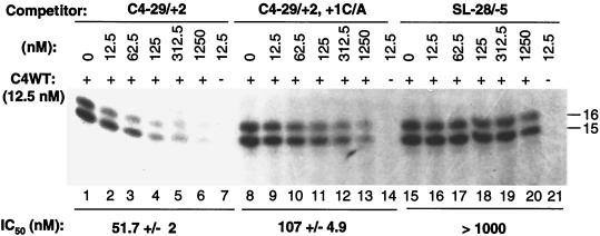 FIG. 6