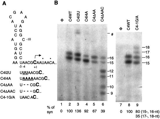 FIG. 7