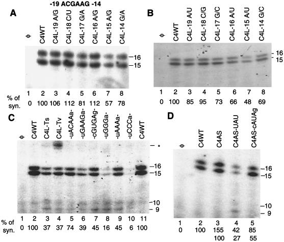 FIG. 5