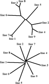 F<sc>igure</sc> 8.—