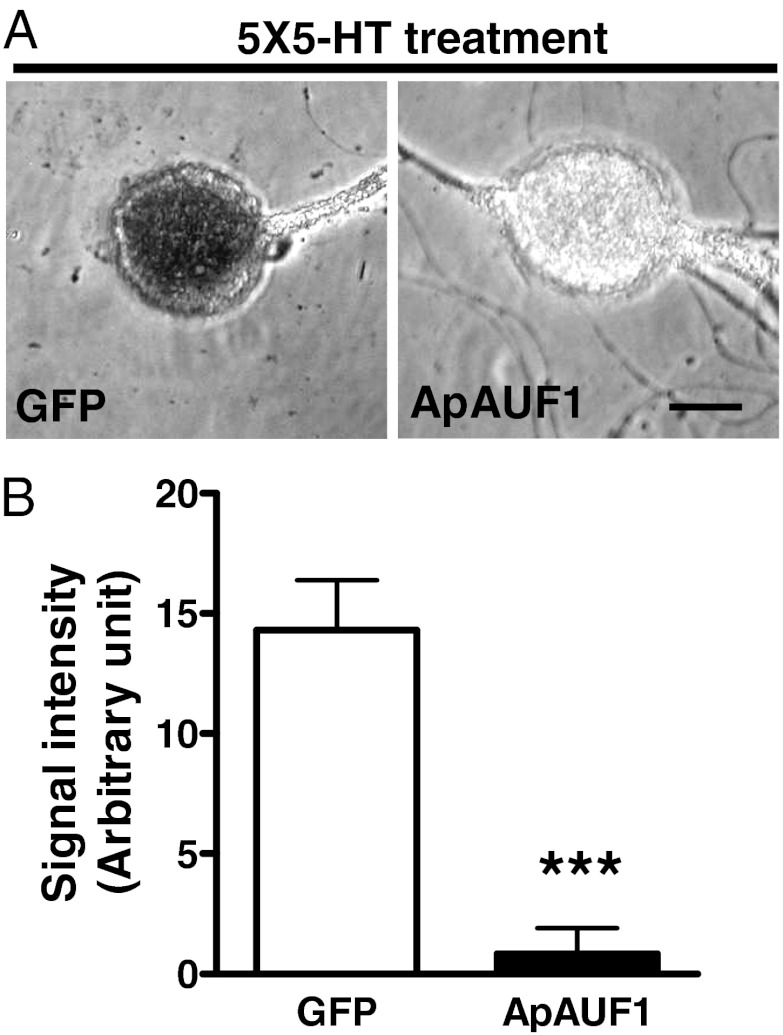 Fig. 5.